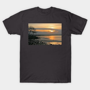 Ferry Road Sunset, January 2024 T-Shirt